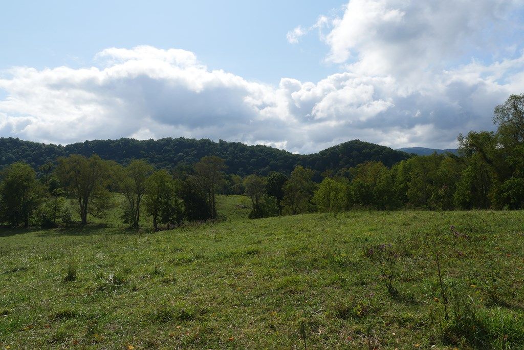 Photo of 16432 South Fork River Road #1, Glade Spring, VA 24340 (MLS # 103490)