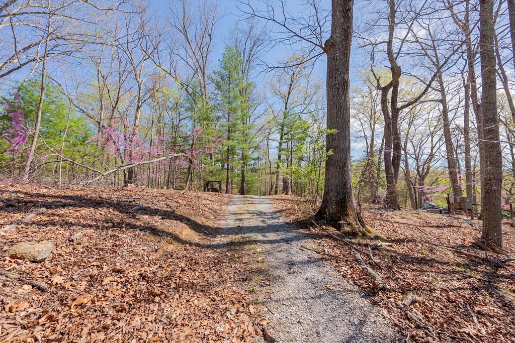 Lot 2A Martin Road