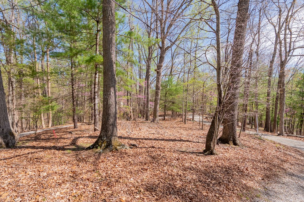 Lot 2A Martin Road