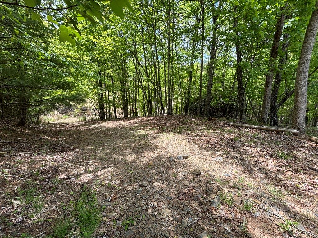 Photo of 389 Live Oak Lane #1-E1, Galax, VA 24333 (MLS # 110033)