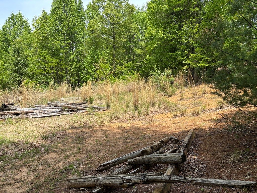Photo of 389 Live Oak Lane #1-E1, Galax, VA 24333 (MLS # 110033)