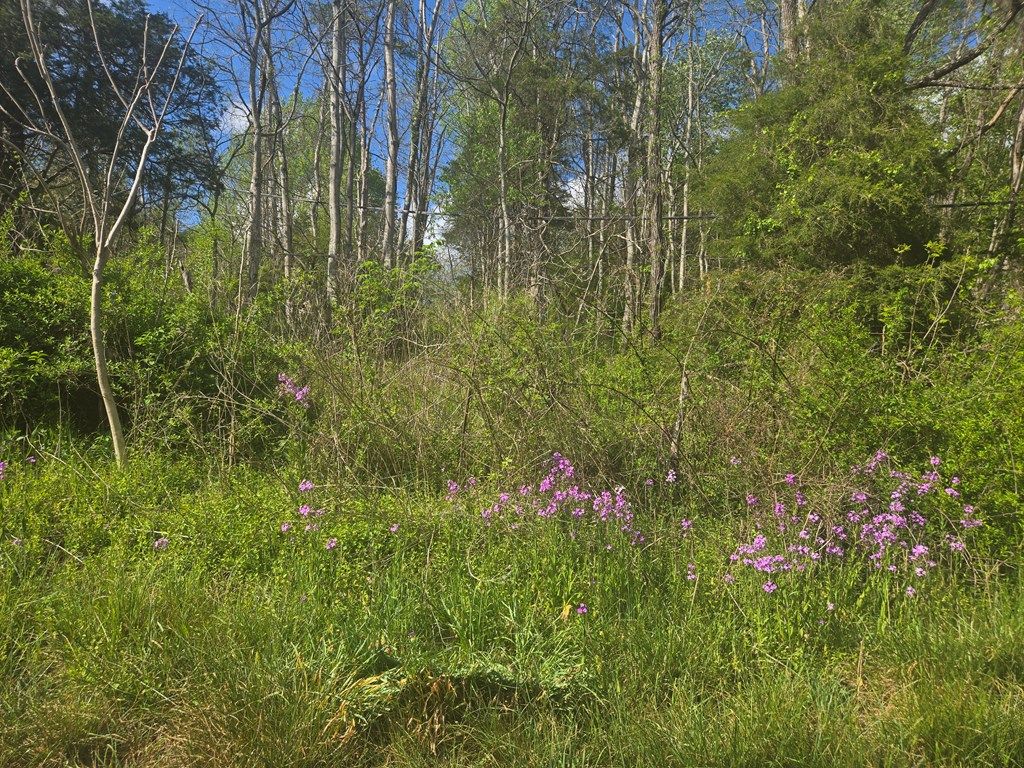 Photo of TBD Huddle Rd #0, Ivanhoe, VA 24350 (MLS # 109870)