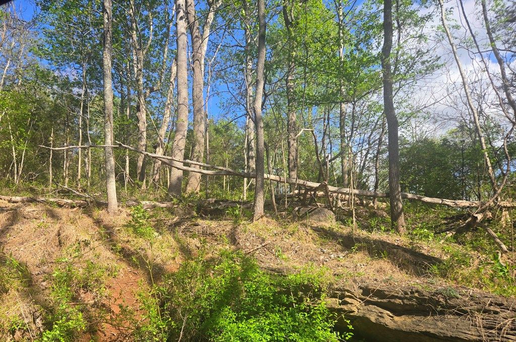 Photo of TBD Huddle Rd #0, Ivanhoe, VA 24350 (MLS # 109870)