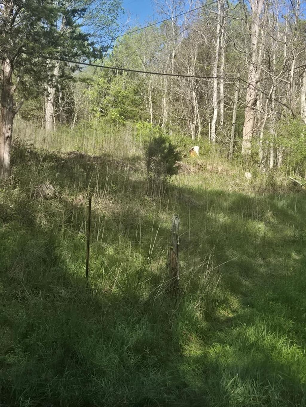 Photo of TBD Huddle Rd #0, Ivanhoe, VA 24350 (MLS # 109870)