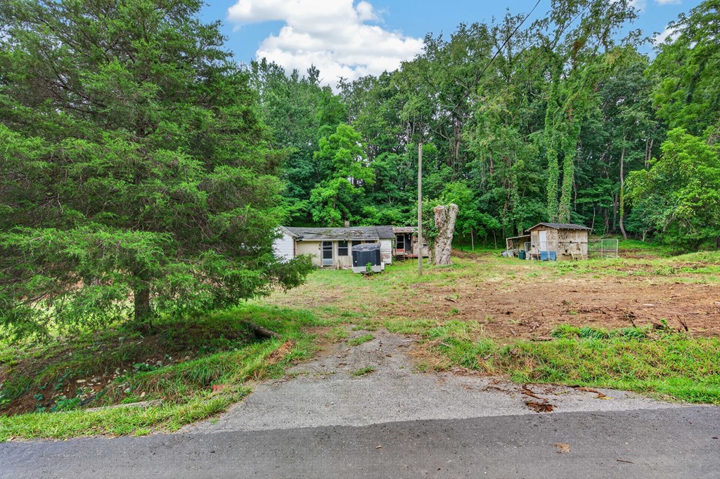 4403 Frog Level Ct