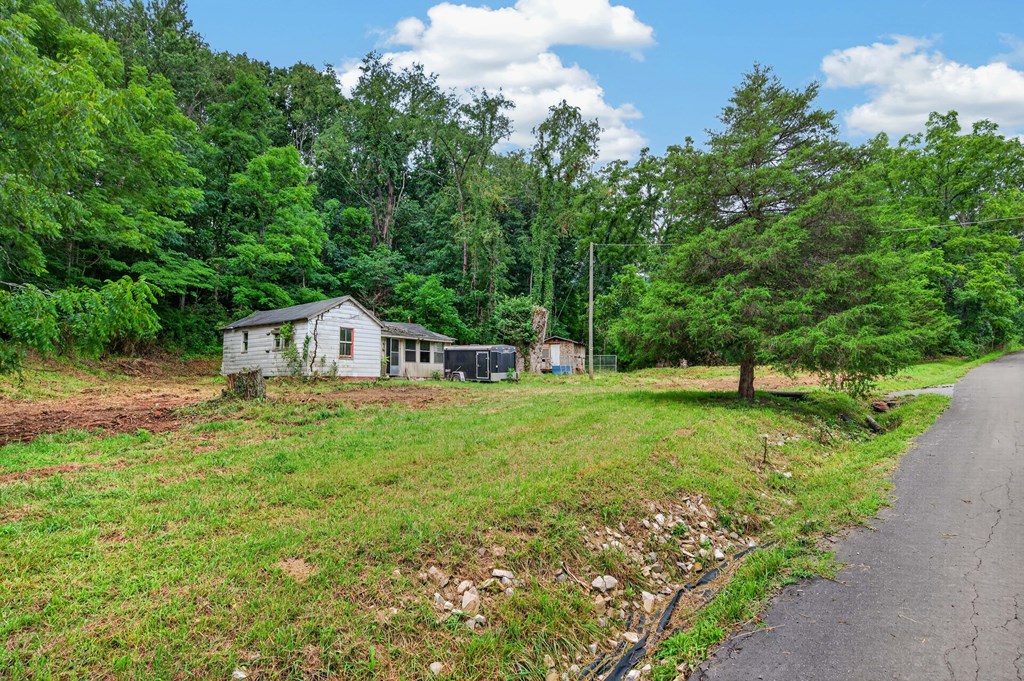4403 Frog Level Ct