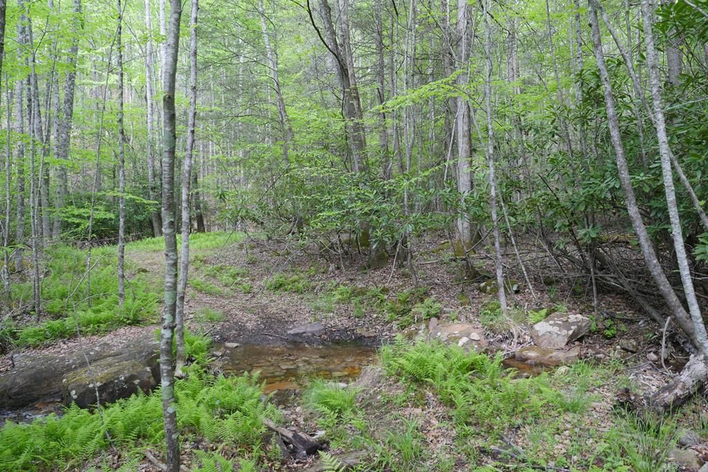 Photo of 265 Still Hse Hollow Road, Saltville, VA 24370 (MLS # 110081)