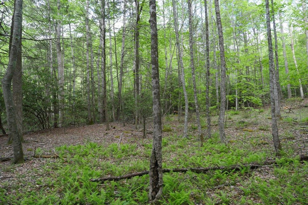 Photo of 265 Still Hse Hollow Road, Saltville, VA 24370 (MLS # 110081)