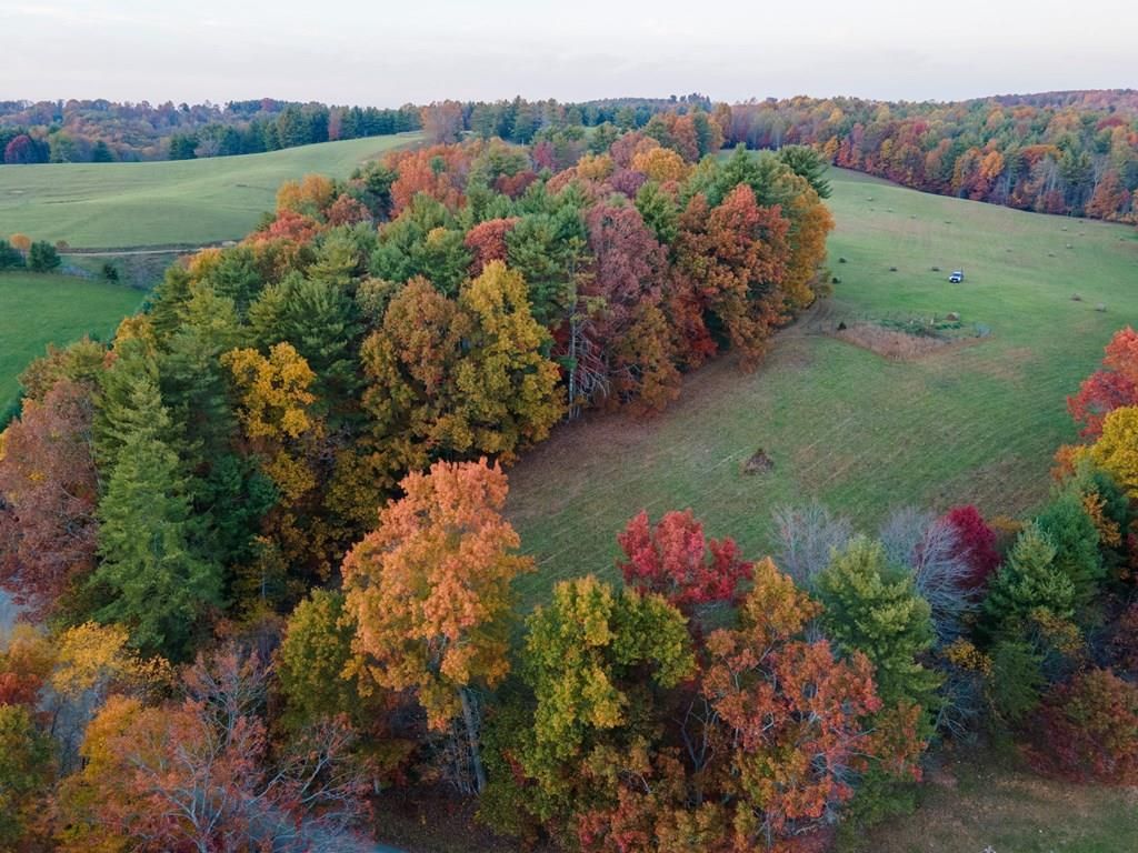 Photo of TBD Shady Grove Road #89, Indian Valley, VA 24380 (MLS # 97730)