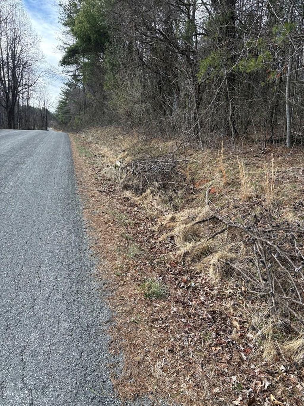 Photo of TBD Corner Miller Ln &amp; Locust Ridge Rd #124-A-168, Woodlawn, VA 24381 (MLS # 109242)