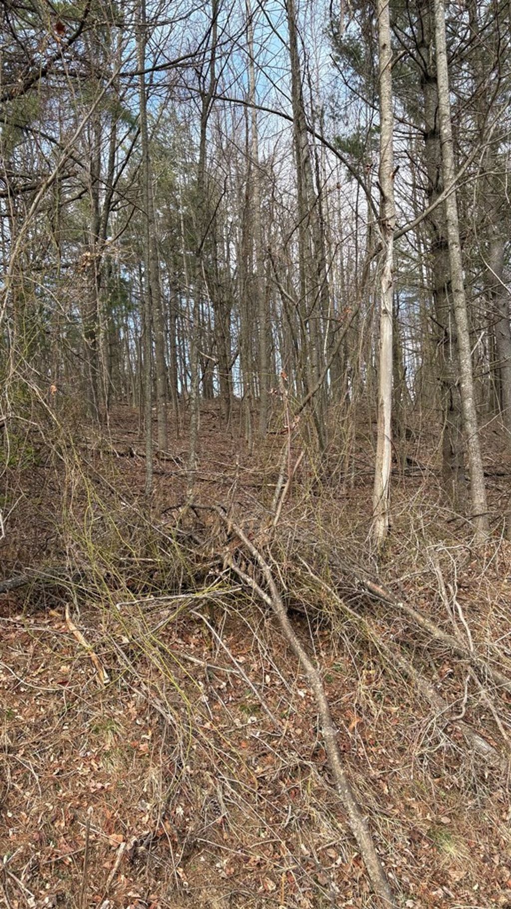 Photo of TBD Corner Miller Ln &amp; Locust Ridge Rd #124-A-168, Woodlawn, VA 24381 (MLS # 109242)