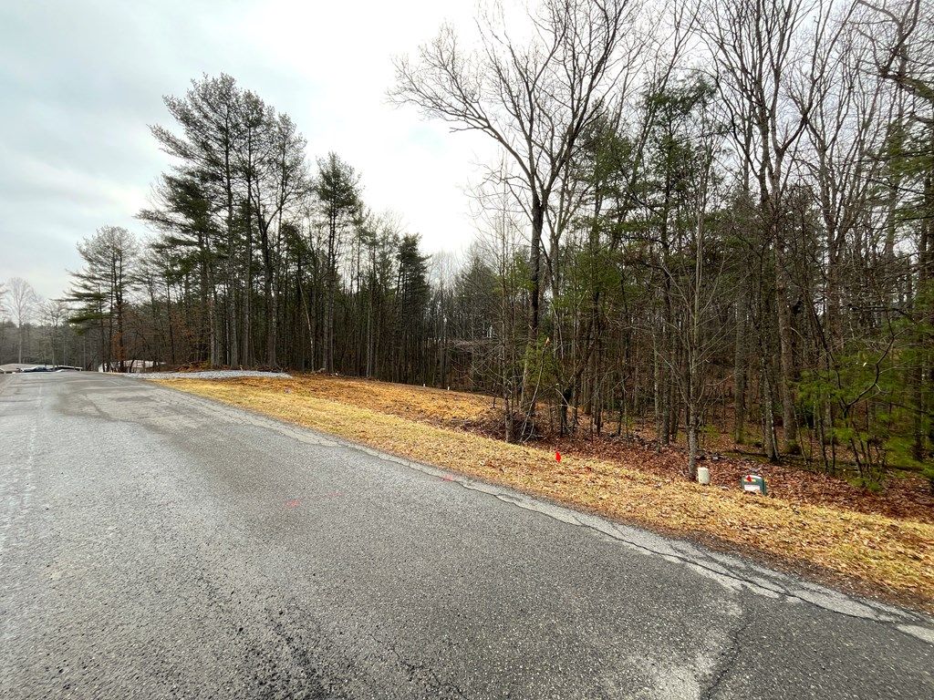 Photo of 170 Wood Lane #16, Hillsville, VA 24343 (MLS # 109139)
