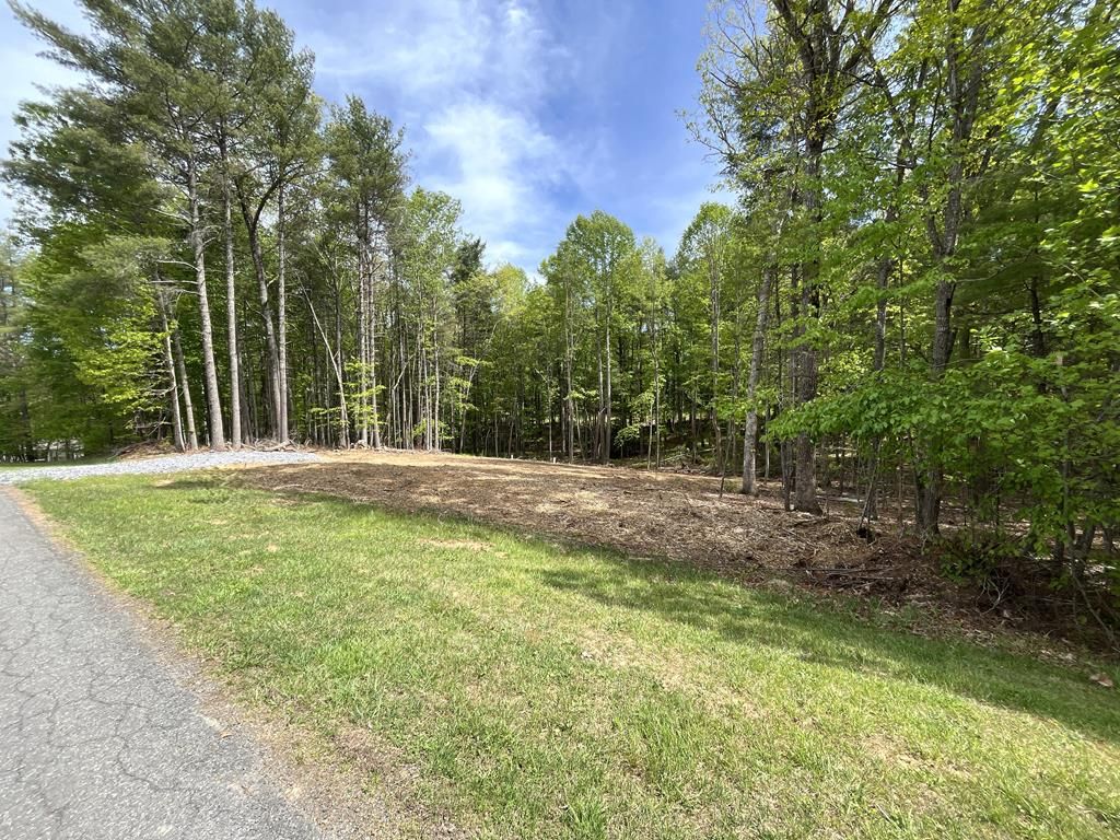 Photo of 170 Wood Lane #16, Hillsville, VA 24343 (MLS # 109139)