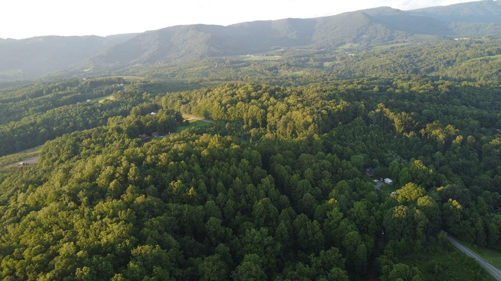 Photo of 4749 Wards Gap Rd #n/a, Cana, VA 24317 (MLS # 111256)