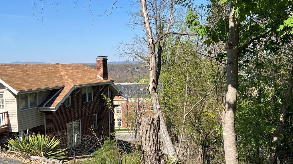 Photo of TBD Tyler Ave #7.4.SEC6.1A, Radford, VA 24141 (MLS # 109708)