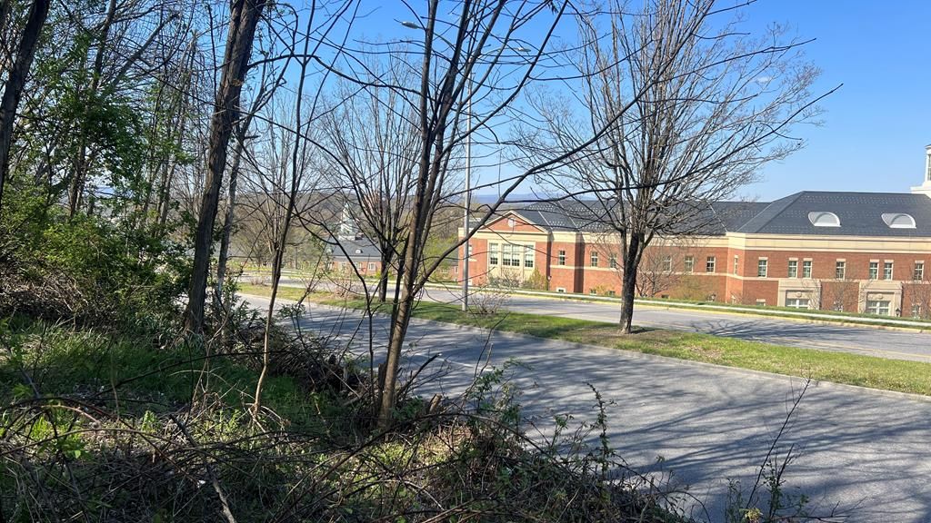 Photo of TBD Tyler Ave #7.4.SEC6.1A, Radford, VA 24141 (MLS # 109708)