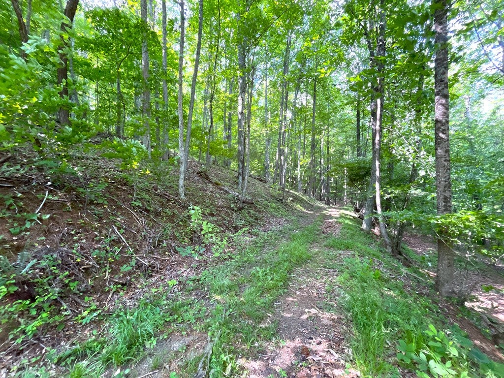 Photo of 76 Captains Gate Rd, Dugspur, VA 24325 (MLS # 110535)