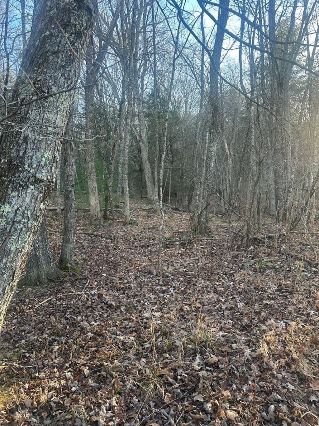 Photo of TBD Little Creek Hwy #0, Dublin, VA 24084 (MLS # 104257)