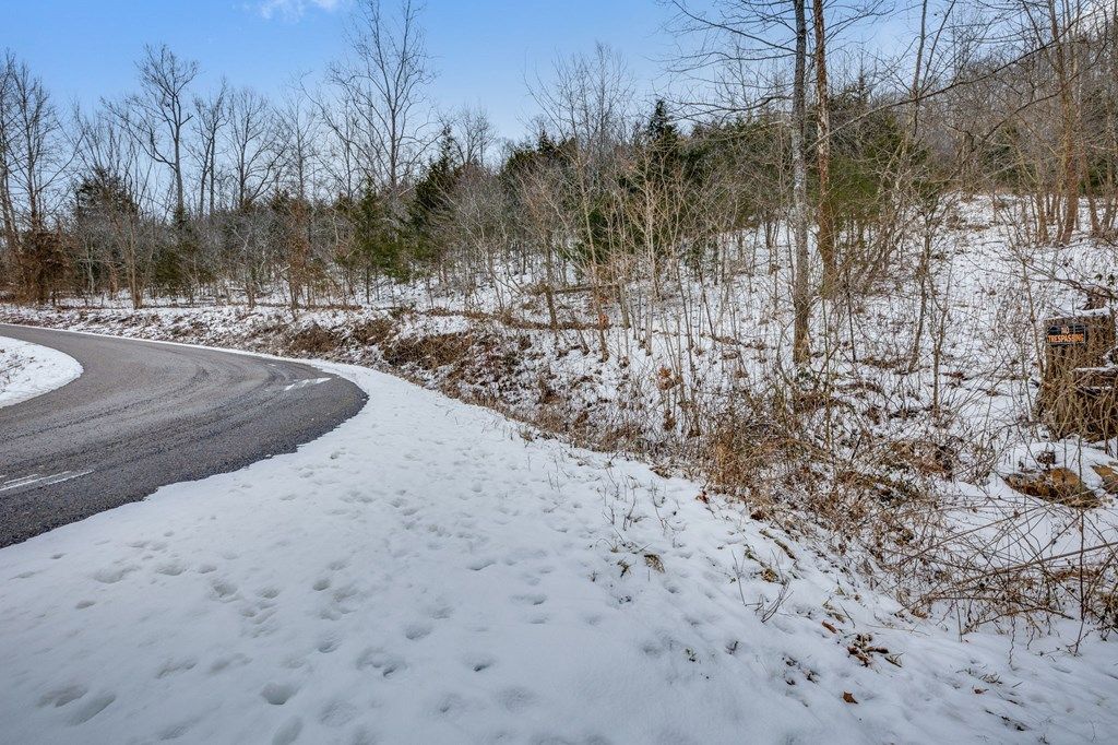 Photo of TBD New Garden Rd #TR 3, Cleveland, VA 24266 (MLS # 105800)