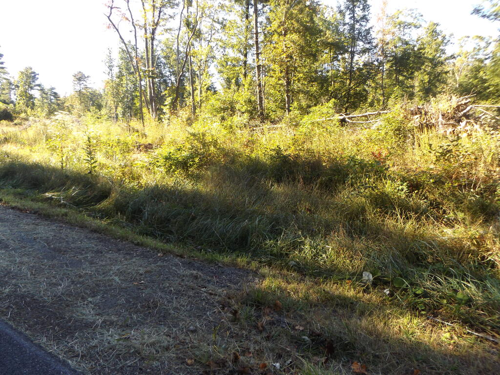 Photo of TBD Deer Ridge Rd #4, Hillsville, VA 24343 (MLS # 112120)