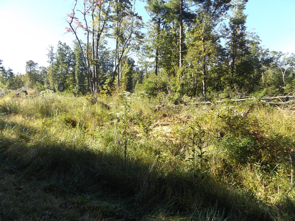 Photo of TBD Deer Ridge Rd #4, Hillsville, VA 24343 (MLS # 112120)