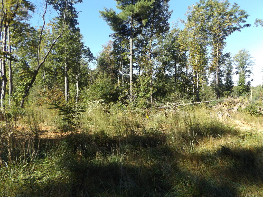 Photo of TBD Deer Ridge Rd #4, Hillsville, VA 24343 (MLS # 112120)