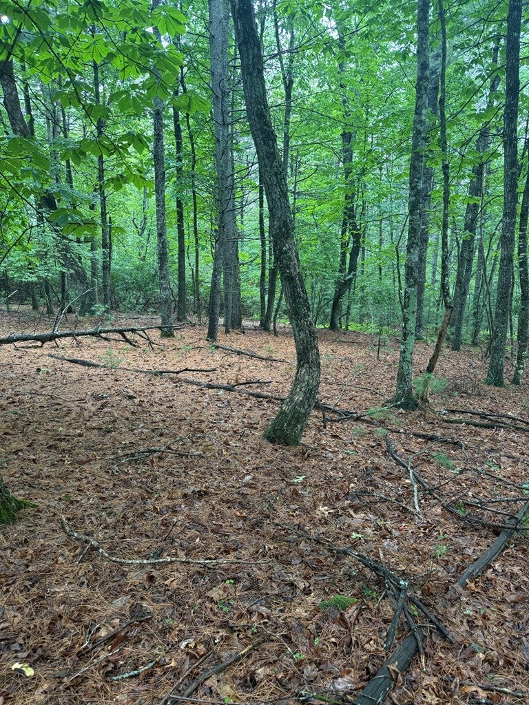 Photo of TBD Fox Spring Lane #28, Galax, VA 24333 (MLS # 111172)