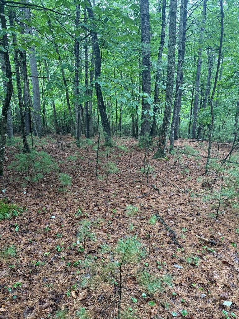 Photo of TBD Fox Spring Lane #28, Galax, VA 24333 (MLS # 111172)