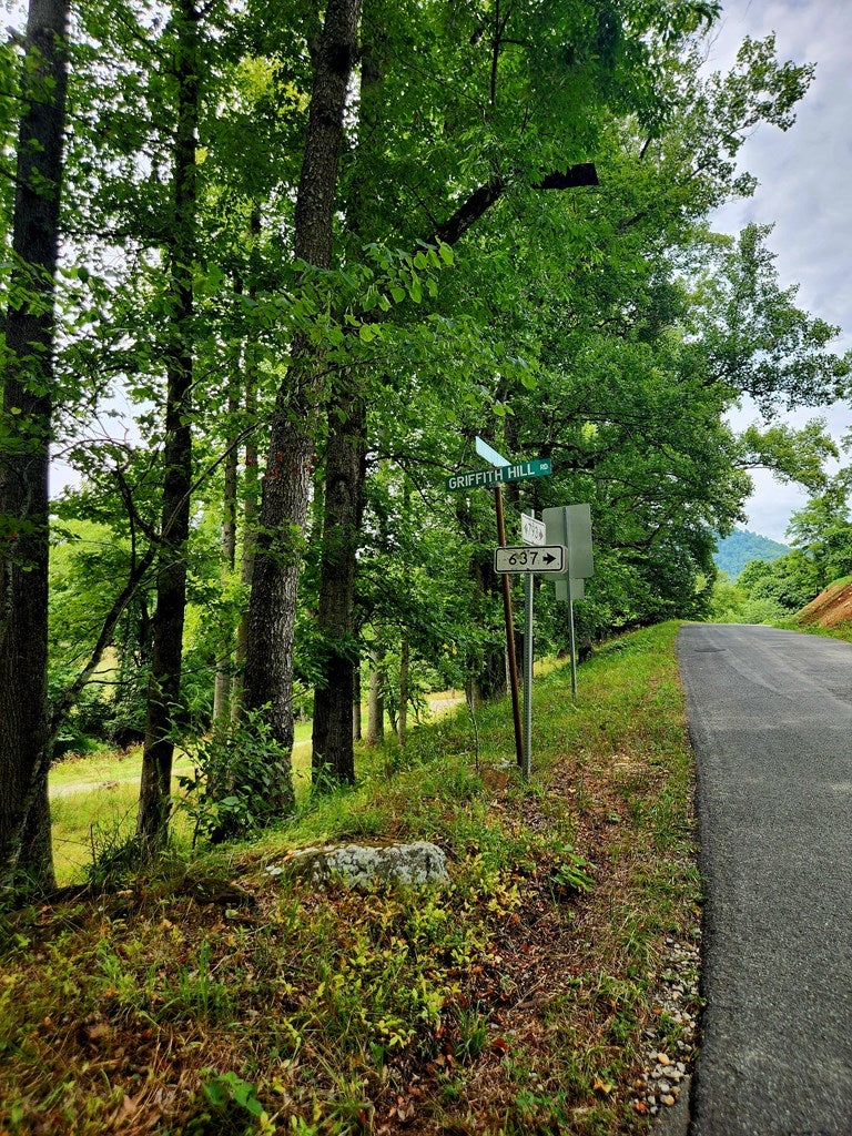 Photo of 28 Griffith Hill Rd #., Ferrum, VA 24088 (MLS # 110876)