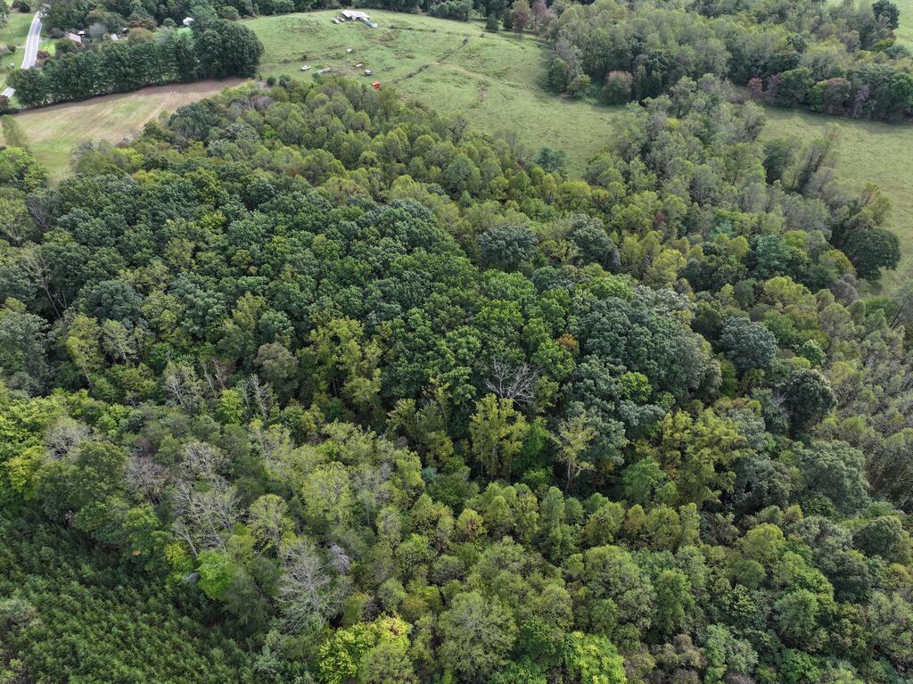 Photo of 0 Salem Hwy #n/a, Stuart, VA 24171 (MLS # 112377)