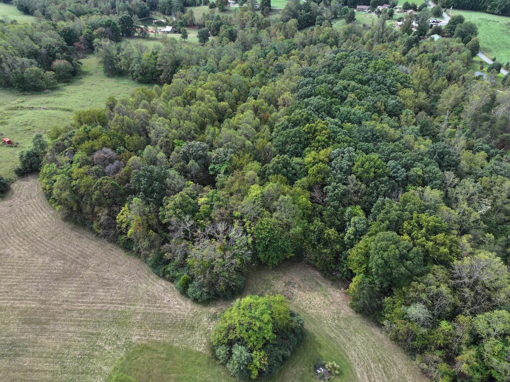 Photo of 0 Salem Hwy #n/a, Stuart, VA 24171 (MLS # 112377)