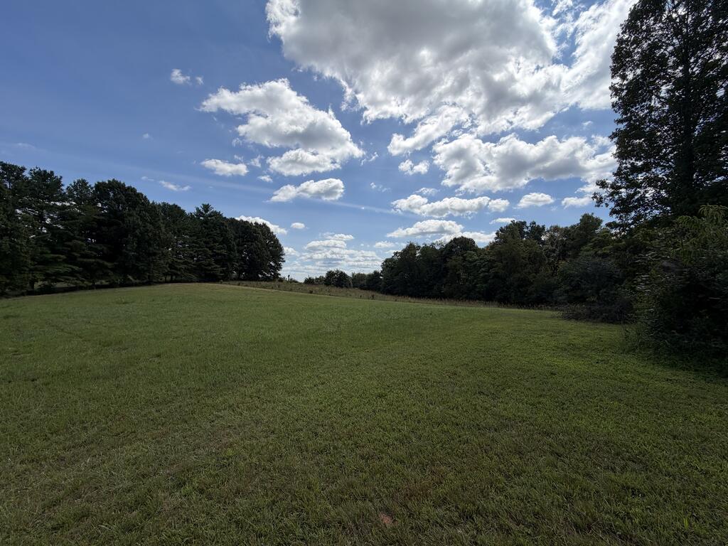Photo of 0 Salem Hwy #n/a, Stuart, VA 24171 (MLS # 112377)
