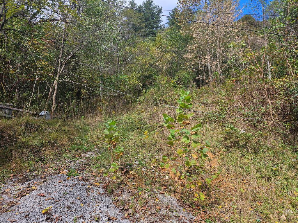 Photo of 1727 Right Poor Valley Rd #154, Pennington Gap, VA 24277 (MLS # 112365)