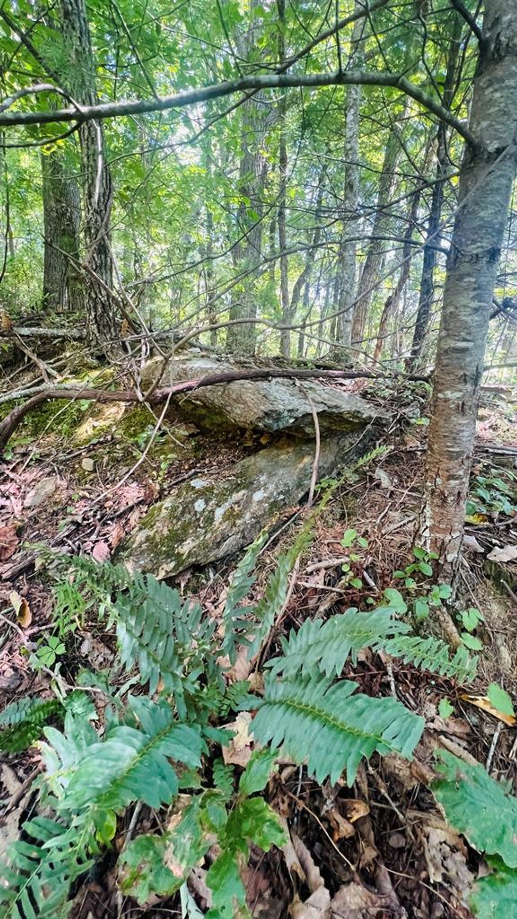 Photo of 68 Black Gum Trl #68, Fancy Gap, VA 24328 (MLS # 103259)