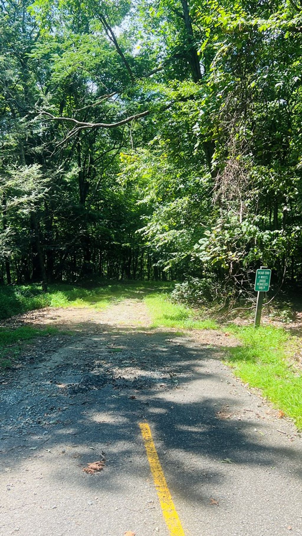 Photo of 68 Black Gum Trl #68, Fancy Gap, VA 24328 (MLS # 103259)