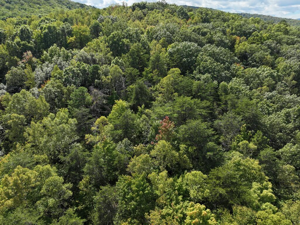 Photo of 0 Salem Church Rd #n/a, Stuart, VA 24171 (MLS # 112254)