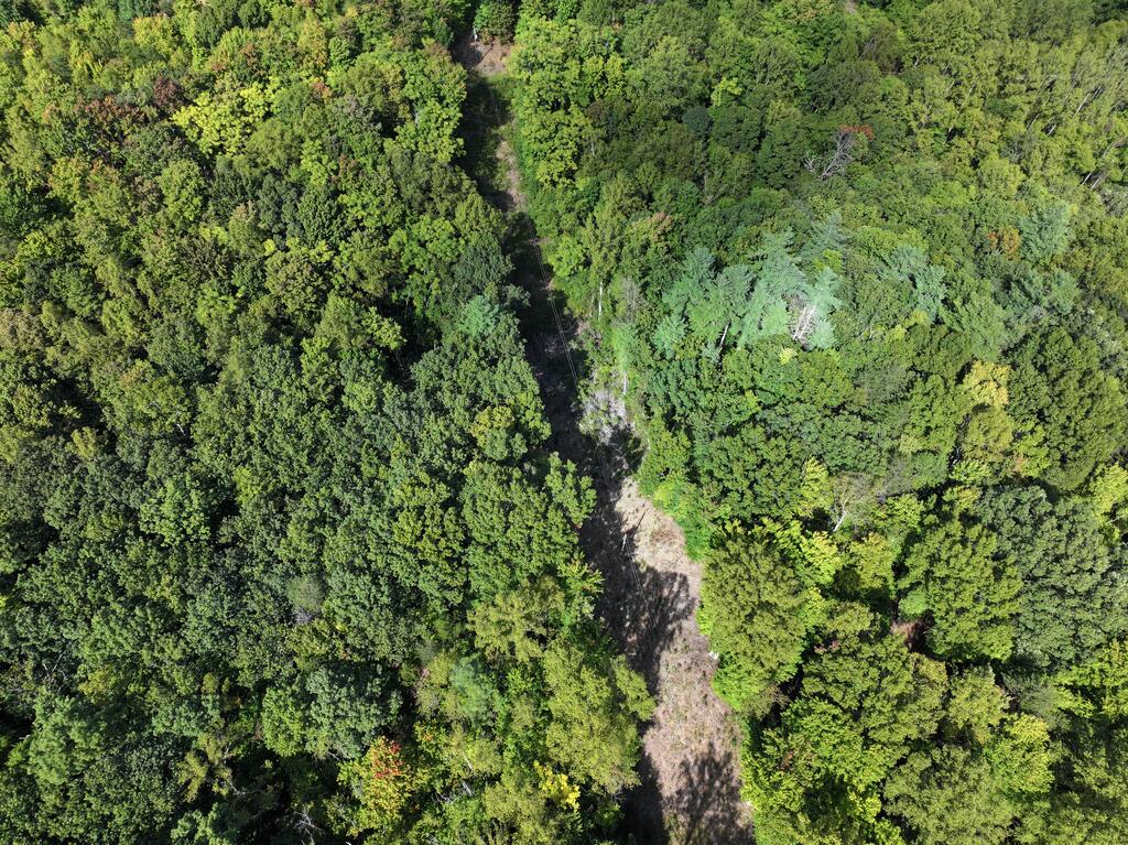 Photo of 0 Salem Church Rd #n/a, Stuart, VA 24171 (MLS # 112254)