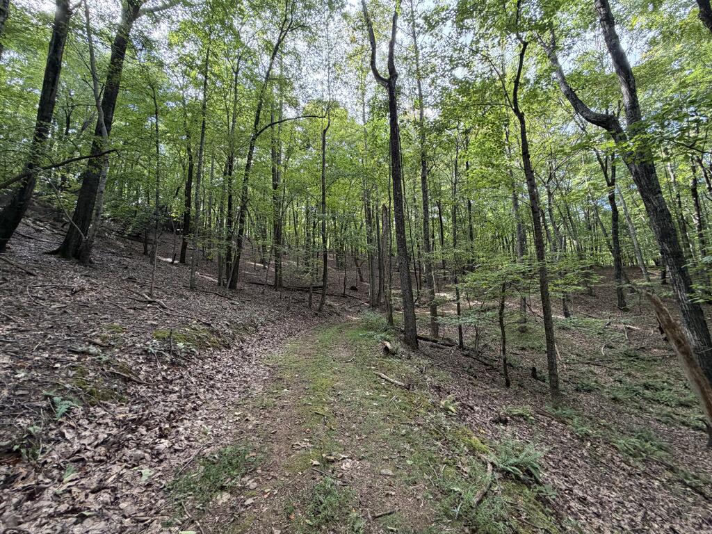Photo of 0 Salem Church Rd #n/a, Stuart, VA 24171 (MLS # 112254)