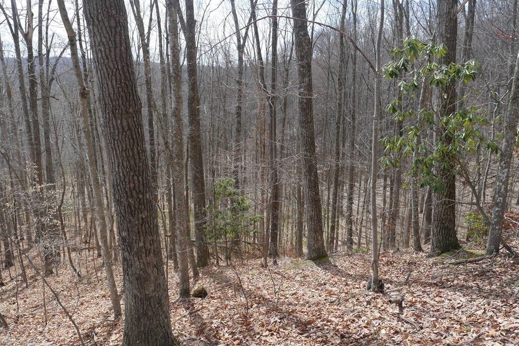 Photo of TBD Reynolds Ridge Road #1, Bandy, VA 24602 (MLS # 104434)