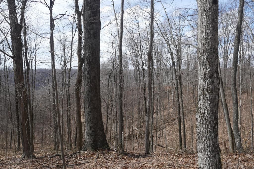 Photo of TBD Reynolds Ridge Road #1, Bandy, VA 24602 (MLS # 104434)