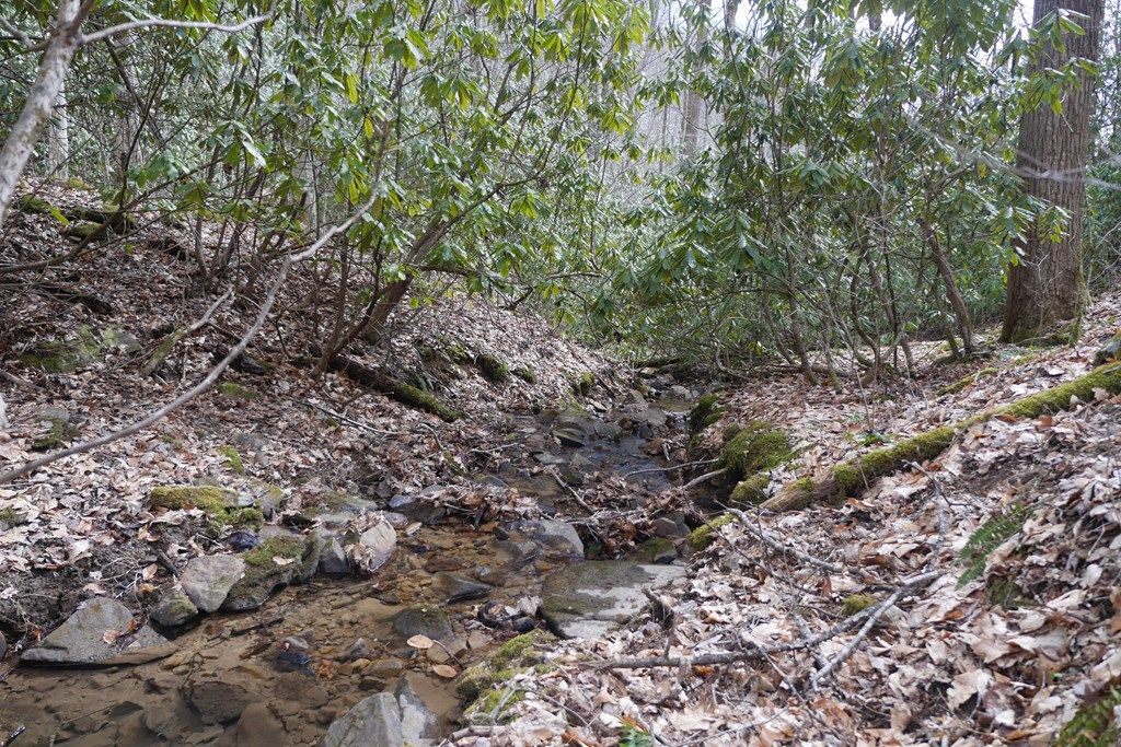 Photo of TBD Reynolds Ridge Road #1, Bandy, VA 24602 (MLS # 104434)