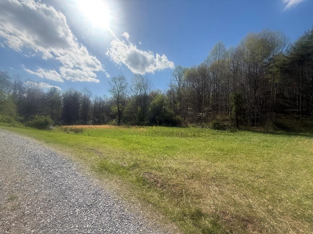 Photo of TDB Beadwood Lane #85 A 16, Damascus, VA 24236 (MLS # 109689)