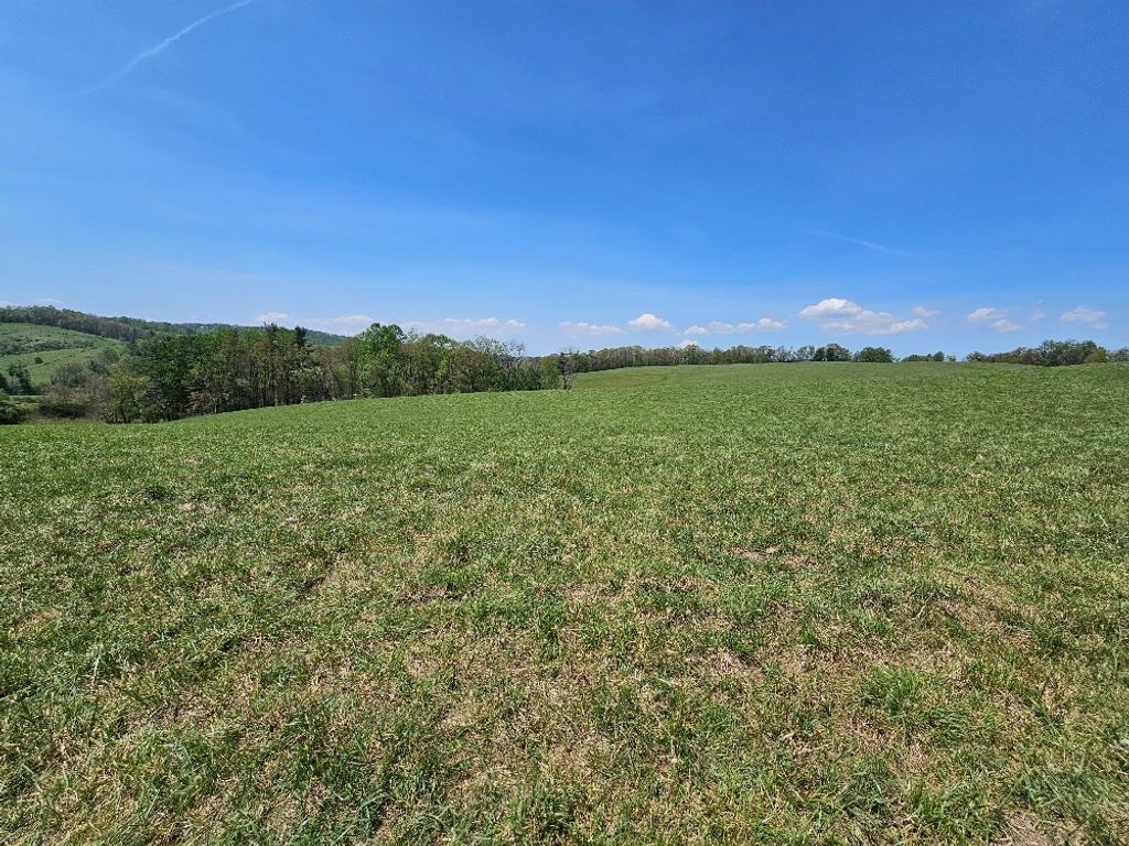 Photo of 732 Raindrop Rd #0, Fancy Gap, VA 24328 (MLS # 99634)