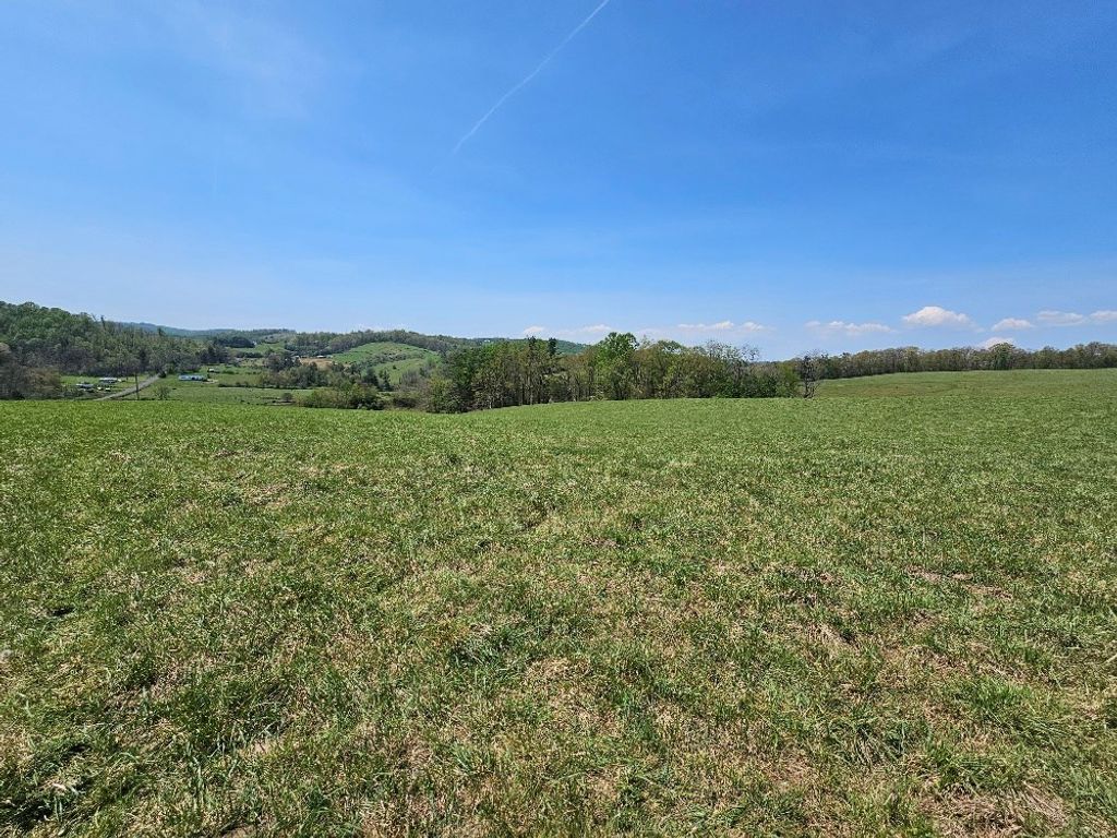 Photo of 732 Raindrop Rd #0, Fancy Gap, VA 24328 (MLS # 99634)