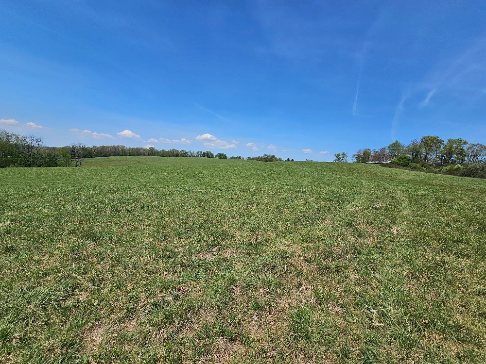 732 Raindrop Rd