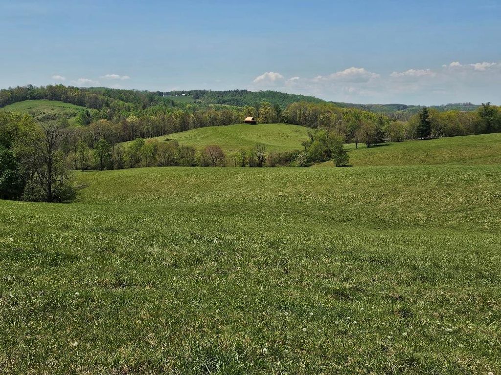 Photo of 732 Raindrop Rd #0, Fancy Gap, VA 24328 (MLS # 99634)