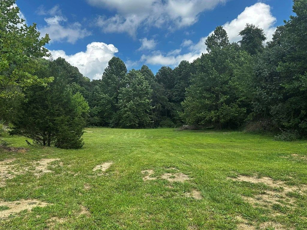 Photo of tbd Green Acres Road #89-90, Pounding Mill, VA 24637 (MLS # 104548)