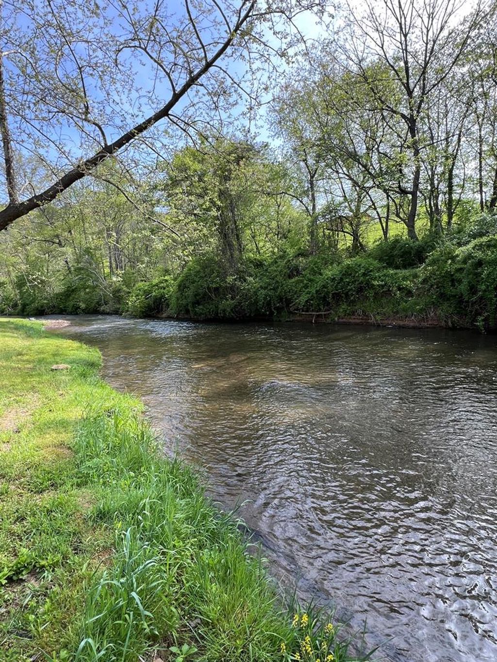 Photo of 77513 Gambetta Road #13, Galax, VA 24333 (MLS # 99671)