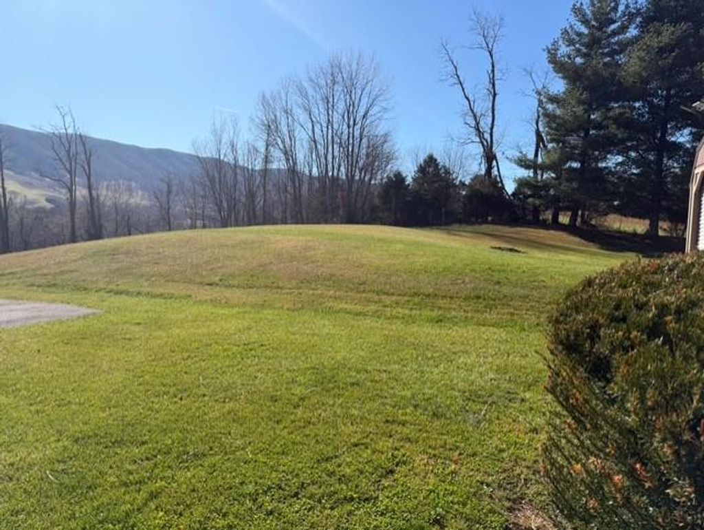 Photo of 320 Chambers St, Pounding Mill, VA 24637 (MLS # 104358)