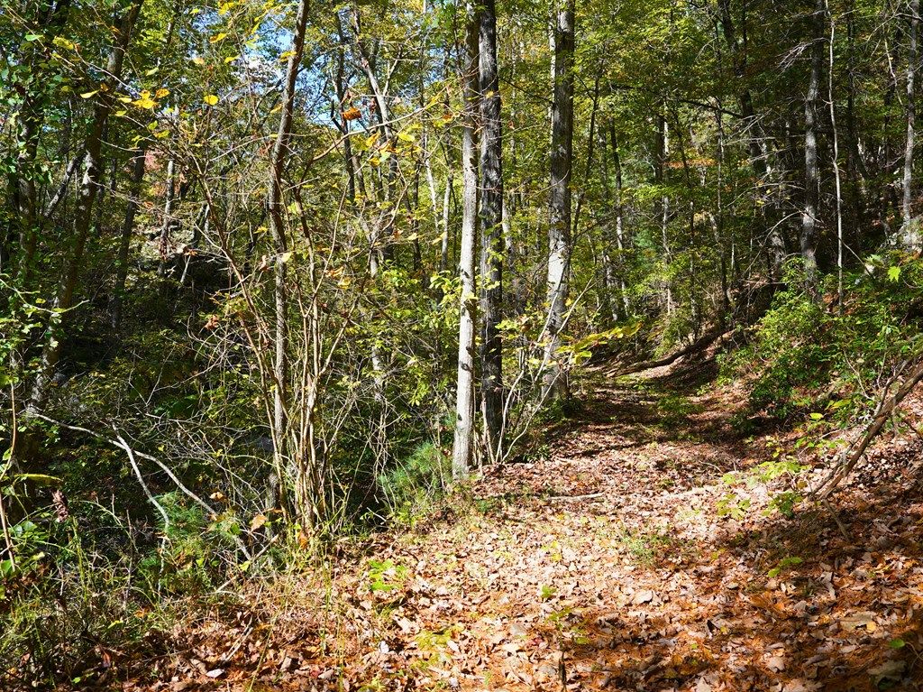 Photo of TBD Old Fire Tower Ln #0, Penhook, VA 24137 (MLS # 103804)